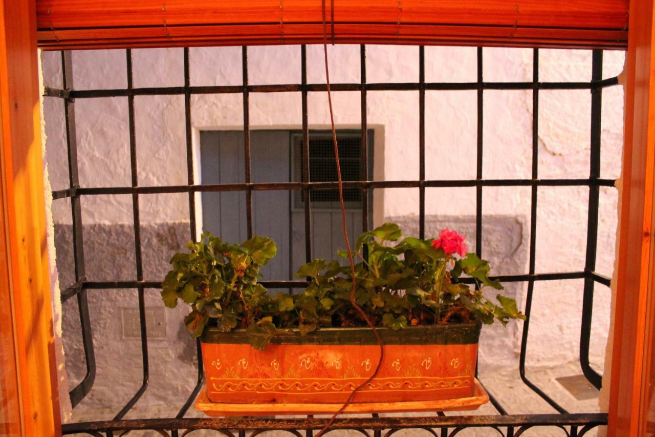 La Casa De La Acequia Guest House Seron Exterior photo