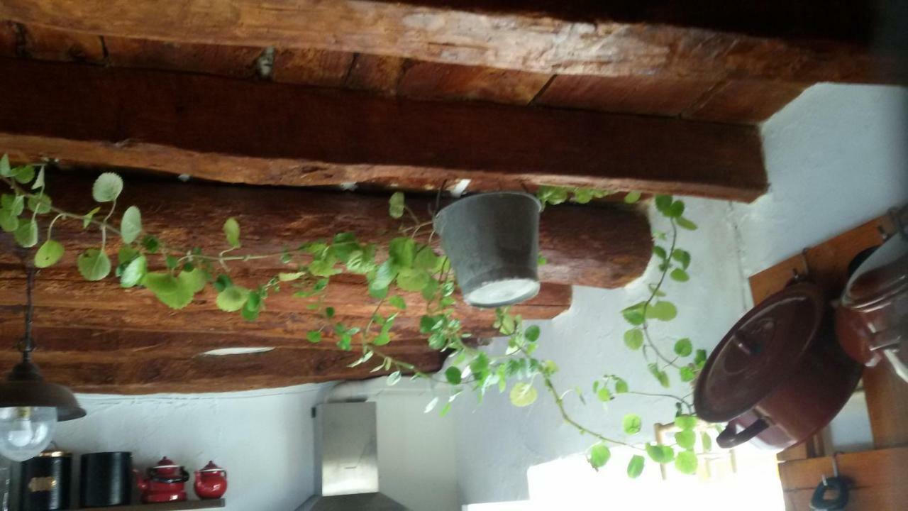 La Casa De La Acequia Guest House Seron Exterior photo